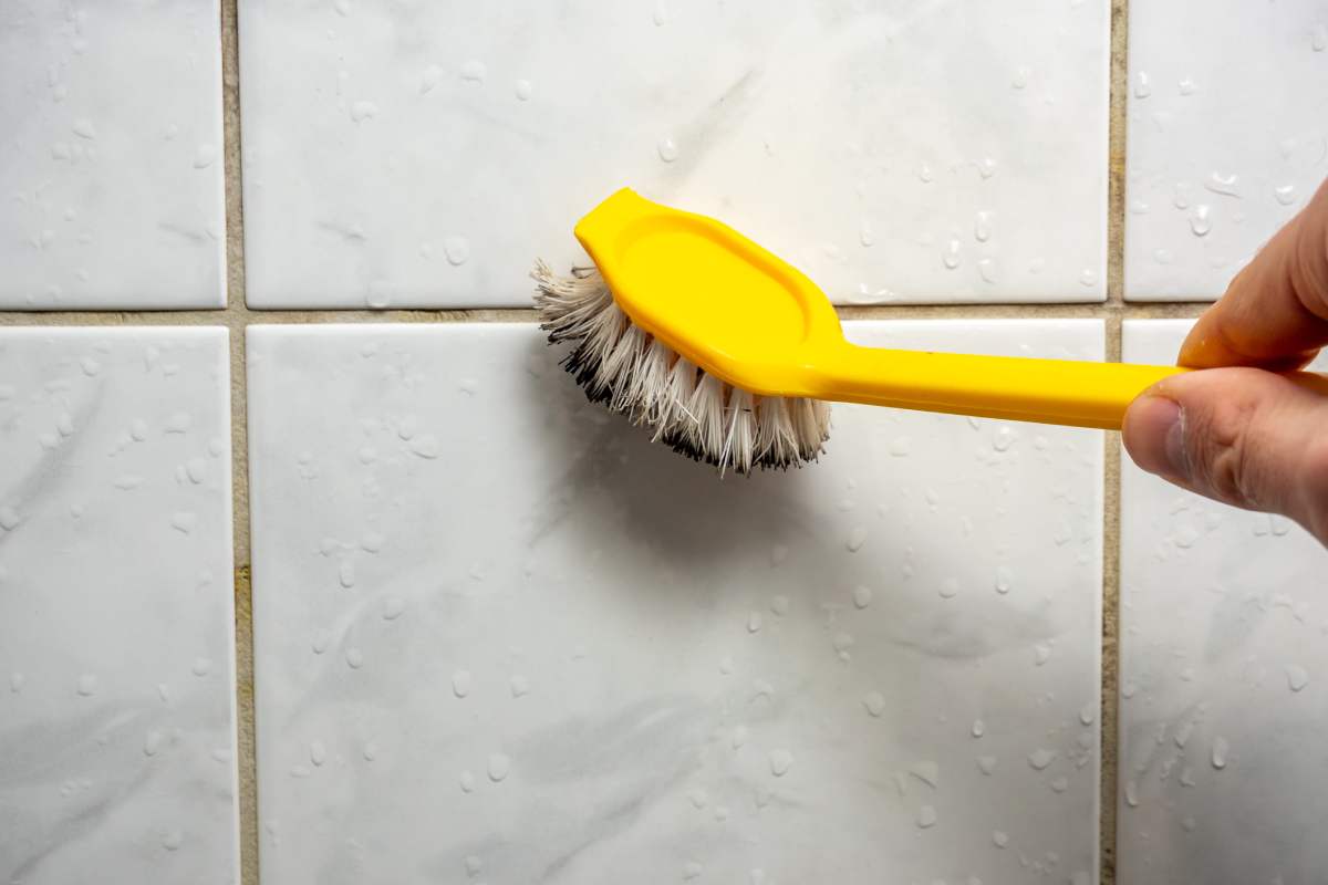 The mold in the joints of the tiles: how to clean them