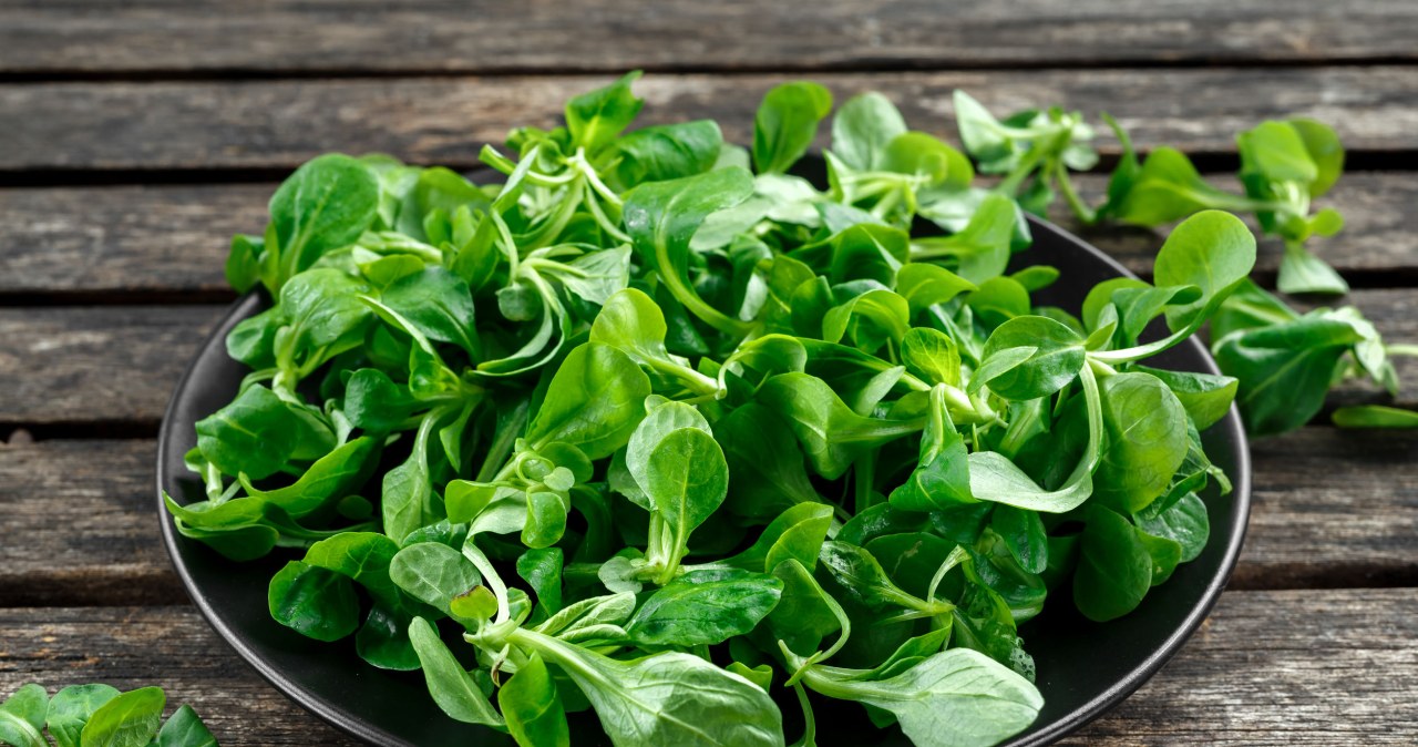 Lamb's lettuce is a plant with many valuable properties /123RF/PICSEL