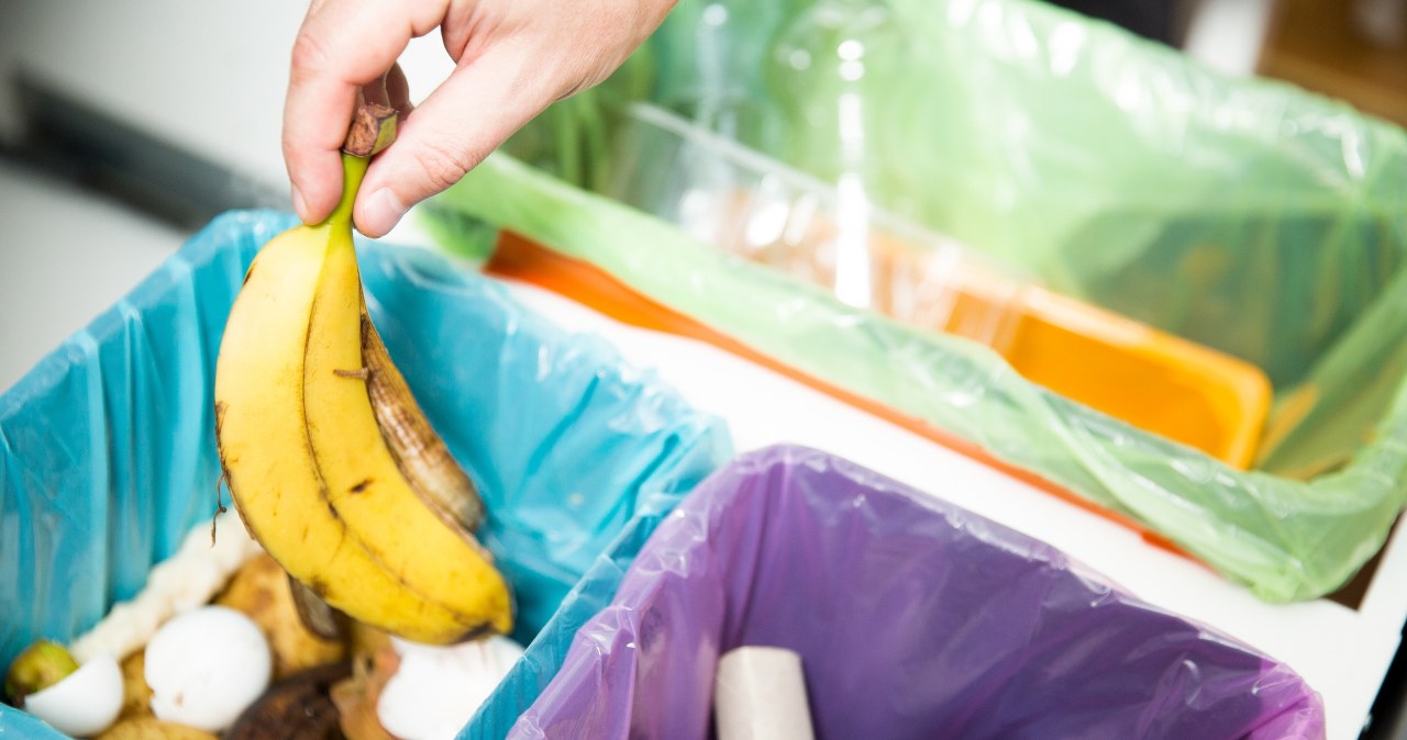 ​Changes in waste segregation from January. You have to buy a new container yourself