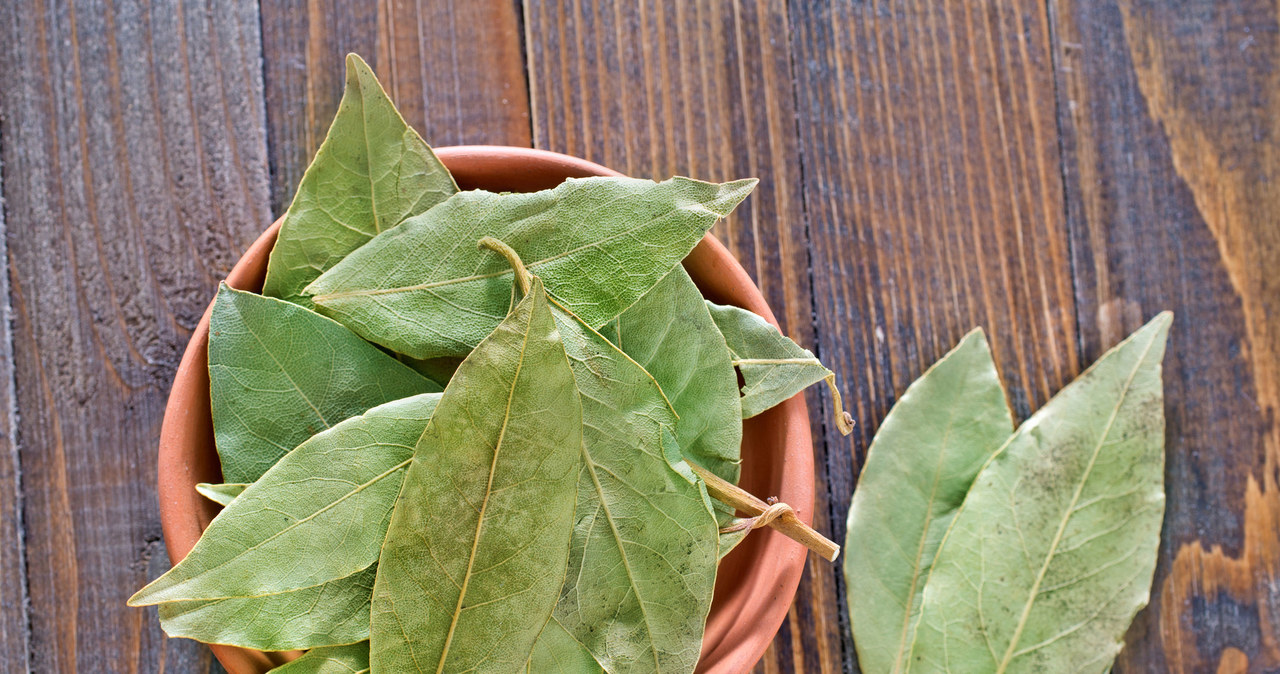 Bay leaf can attract money and success /123RF /PICSEL