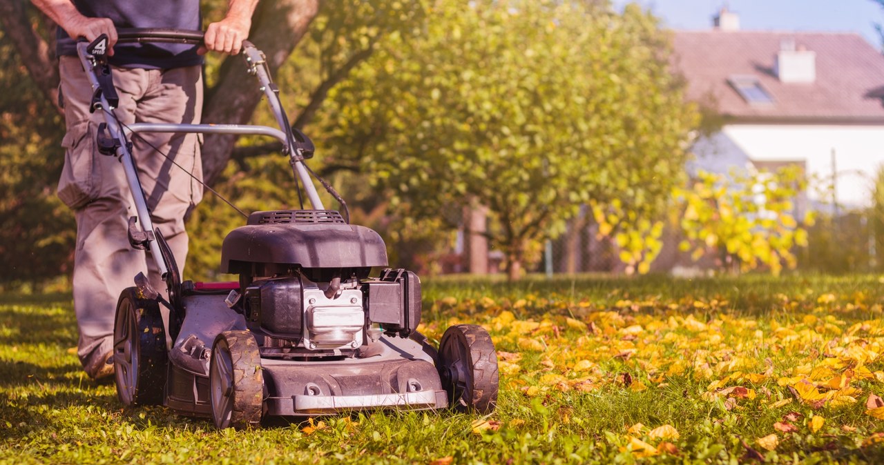 Do not postpone it for later, the first frost may come faster than you expect. /123RF/PICSEL