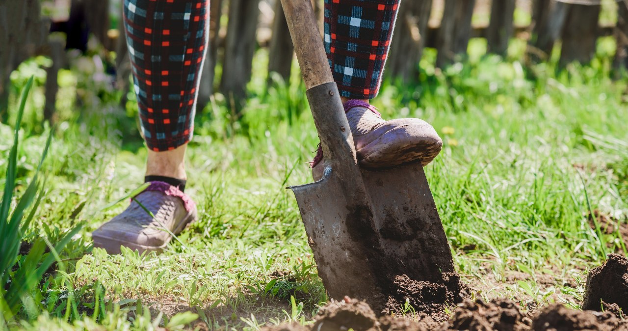 The autumn preparations of the garden are a few hours of work that will pay off in spring. /123RF/PICSEL