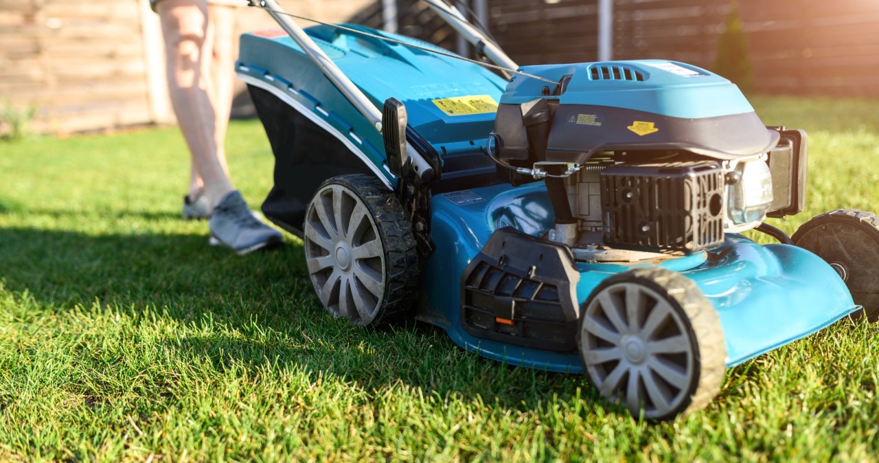 Let's be careful not to mow the grass too low in autumn /123rf.com /INTERIA.PL