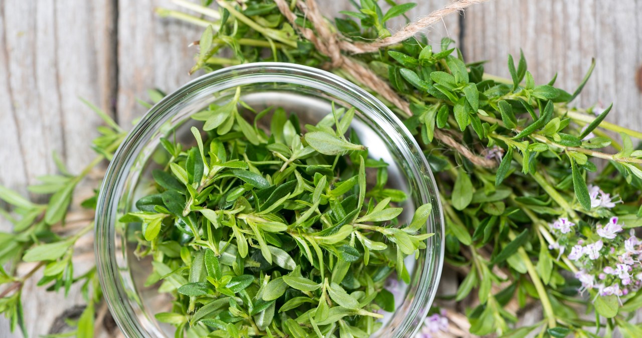 Savory prevents flatulence and inflammation, and also supports immunity. It can be used both fresh and dried /123RF/PICSEL