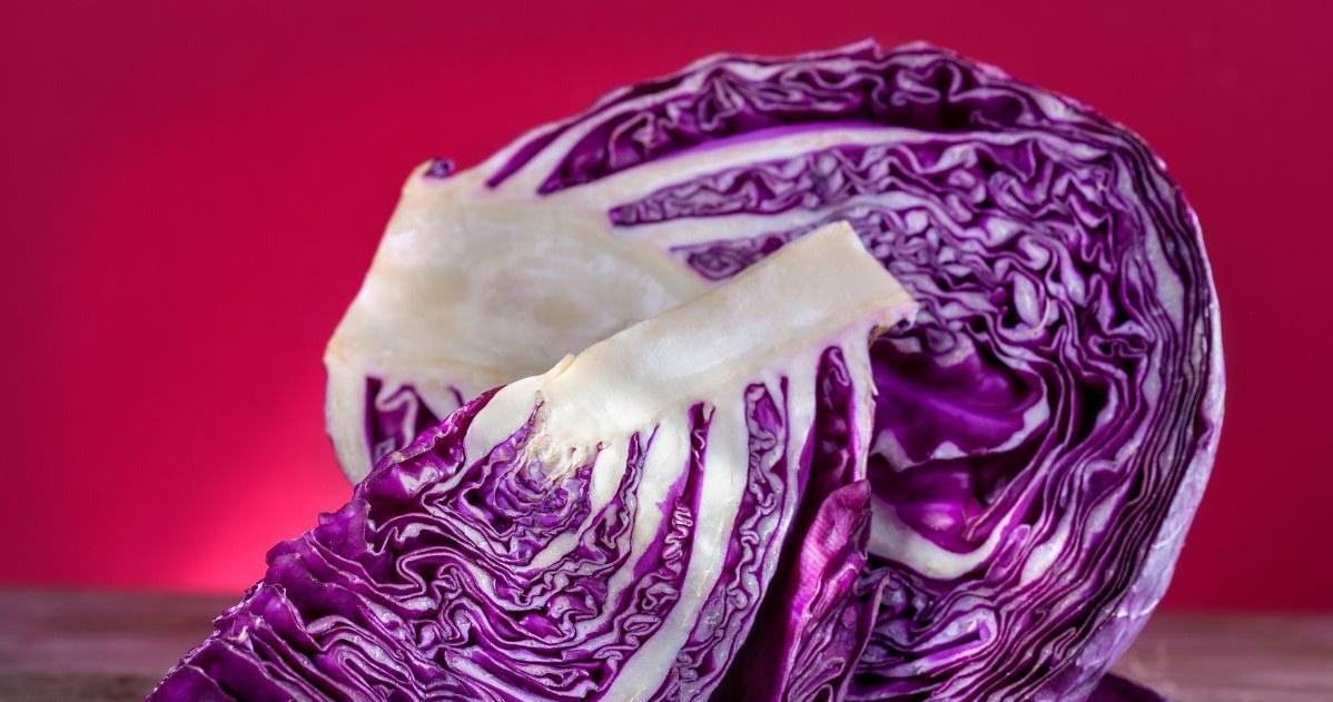 Red cabbage leaves delight with their elasticity and expressive flavor, making them perfect for preparing tasty cabbage rolls /CanvaPro /INTERIA.PL