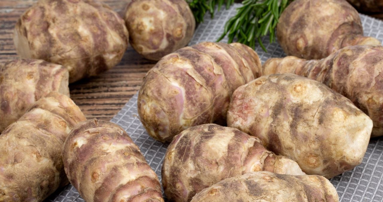 Jerusalem artichoke looks most like ginger roots /frederique wacquier /Canva Pro