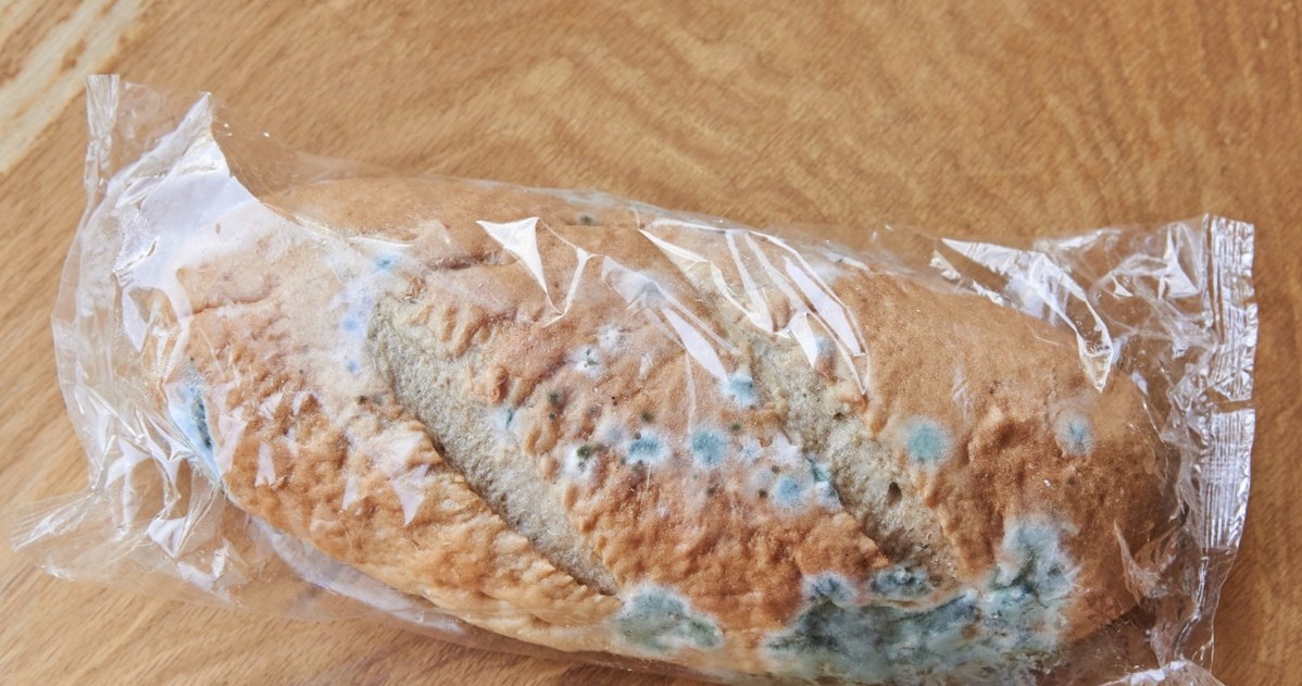 Where do you throw away moldy bread? It seems simple, but many of us are still wrong