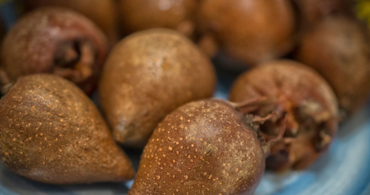 Forgotten fruit, which was once eaten mainly in winter. Helps with stomach problems, heart disease and kidneys