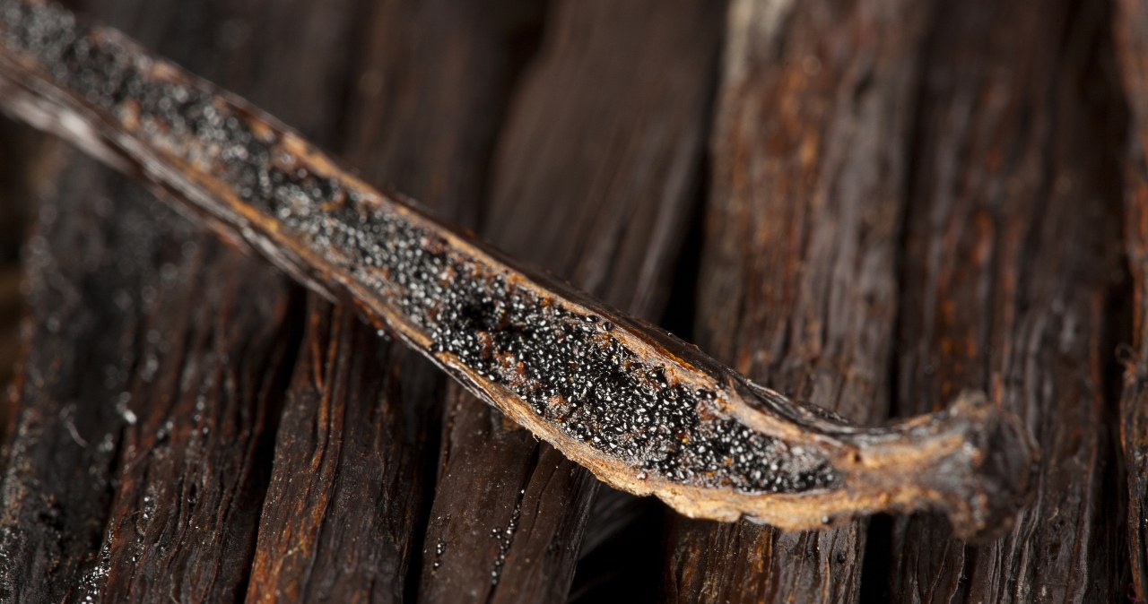 Thanks to these seeds, you will stop eating sweets. You will strengthen your heart and digestive system