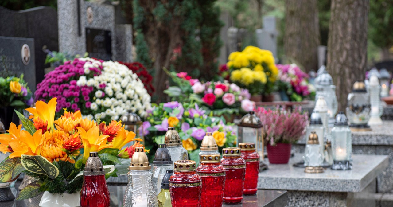 For several years I have been choosing chrysanthemums instead. Not afraid of frost or wind