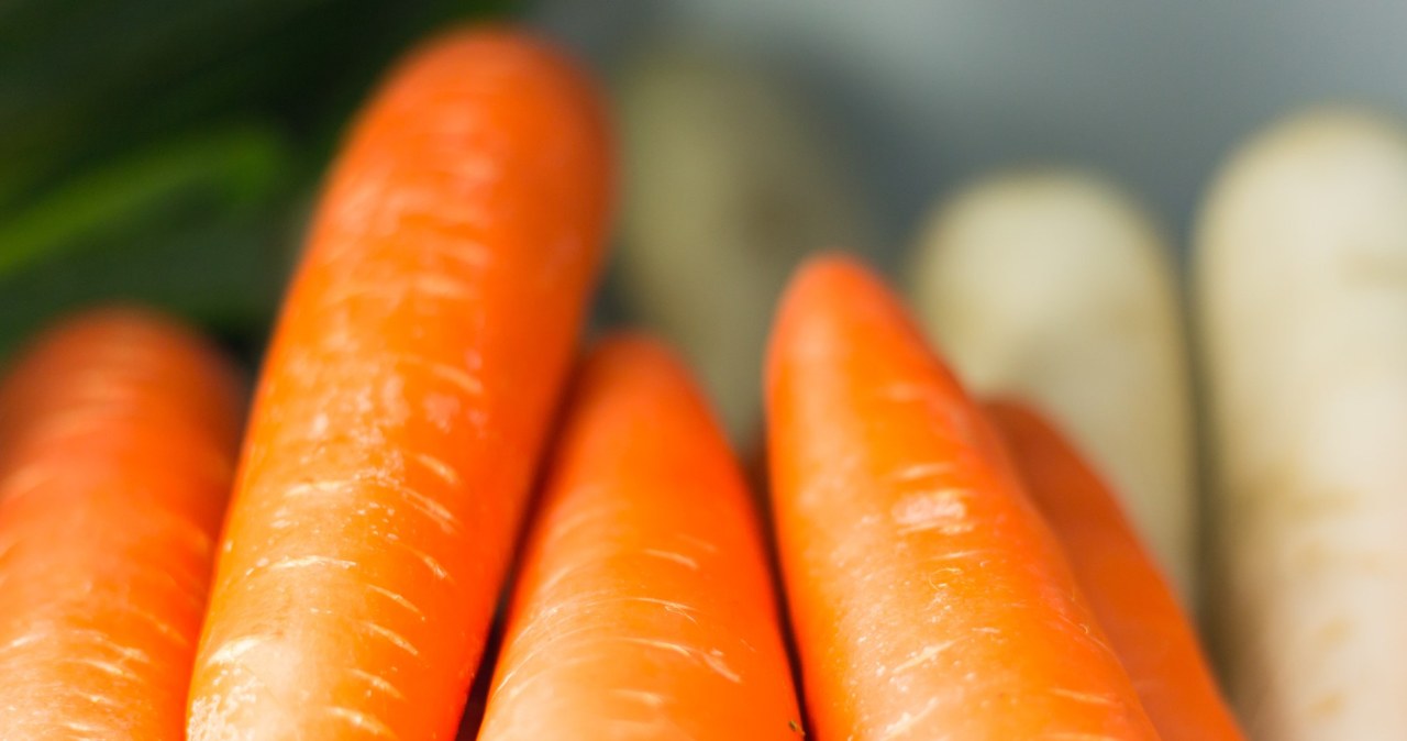 Grandpa showed me how to store carrots so that they don't wilt quickly. It looks like it was picked straight from the flower bed