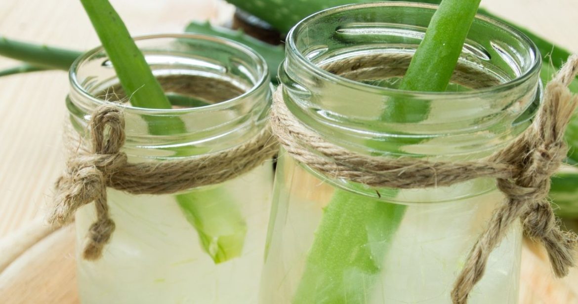 When you drink regularly, your intestines work like clockwork. It When you drink regularly, your intestines work like clockwork. It hydrates well, cleanses the body and has anti-inflammatory properties