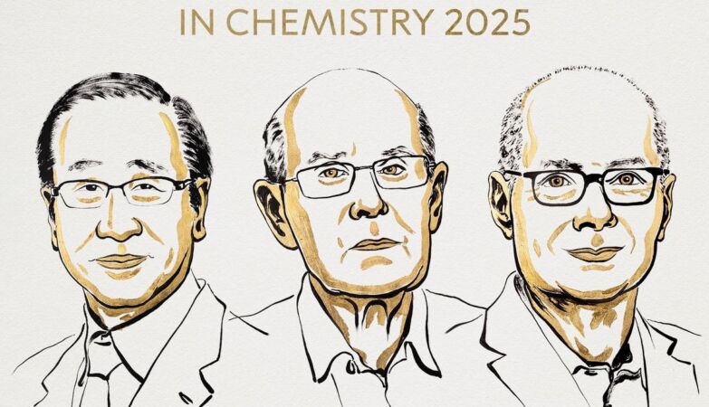 Nobel Prize in Chemistry 2025 for development of metal-organic structures