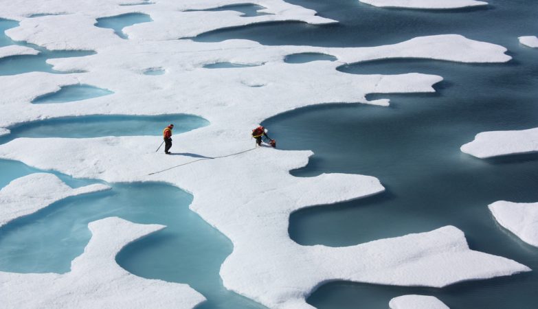 “Impossible” life discovered under Arctic ice