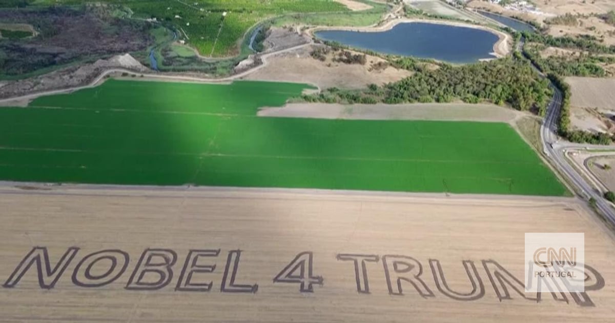 This message from a farmer says everything about the feeling in Israel