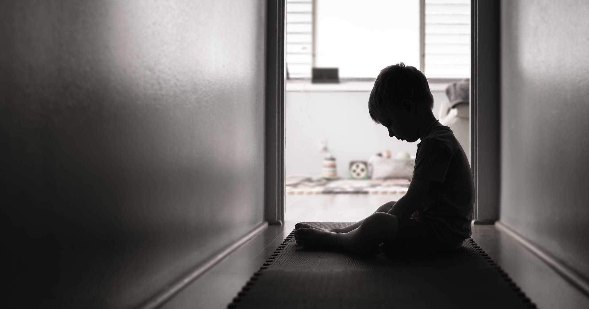 The children of domestic violence