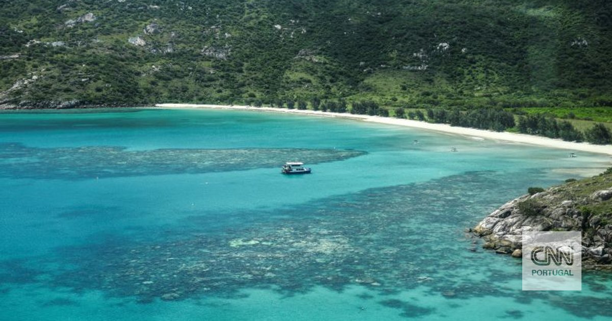 Elderly woman found dead on tropical island after cruise left without her