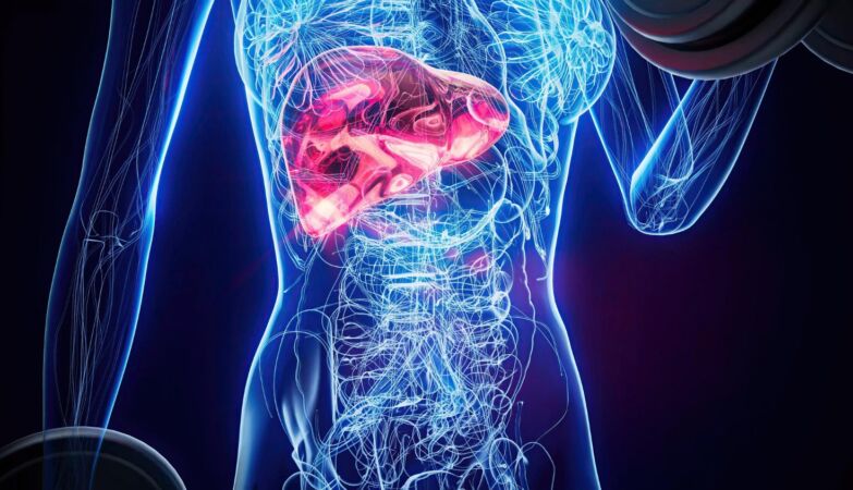 Surprising study reveals what really kills people with fat liver