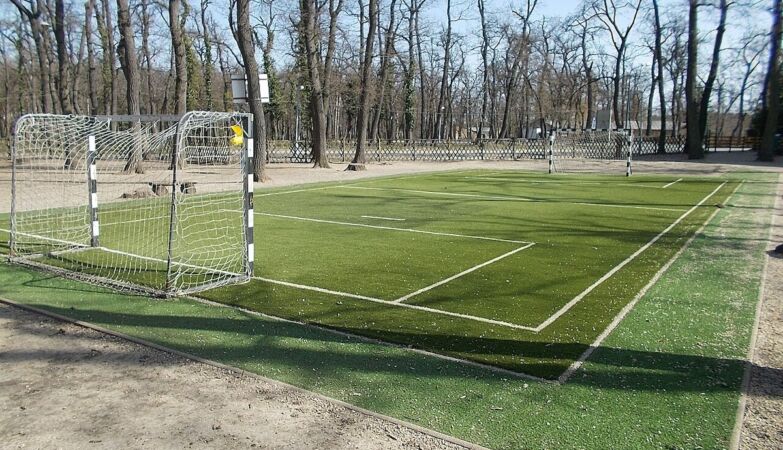 Teenager died after being hit by a goal. MP calls for teacher’s arrest