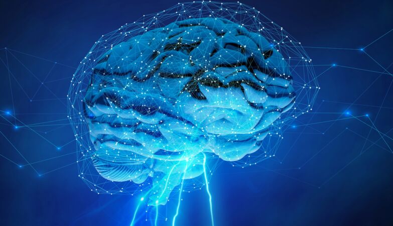 “Sugar switch” in the brain, a new anti-depression pathway