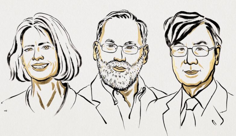 Medical Nobel for 3 scientists for advances in understanding the immune system