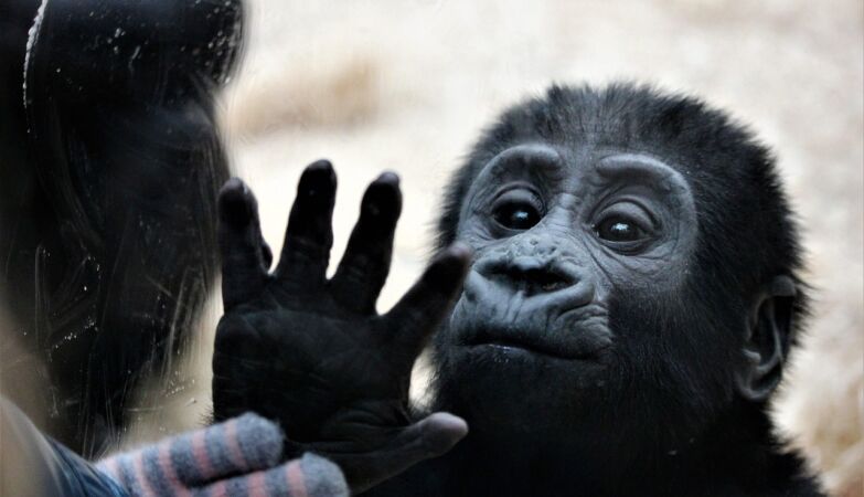 Mathematics leaves no doubt: life should not exist