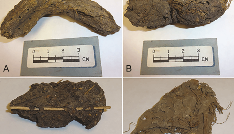 1,300-year-old feces reveal tragic details about life in the “Cave of Dead Children”