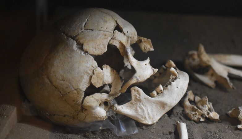 The Jomon had almost no Denisovan DNA