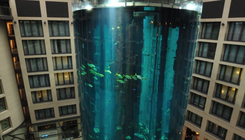 Water, speed, incredible views. The most fascinating elevators in the world