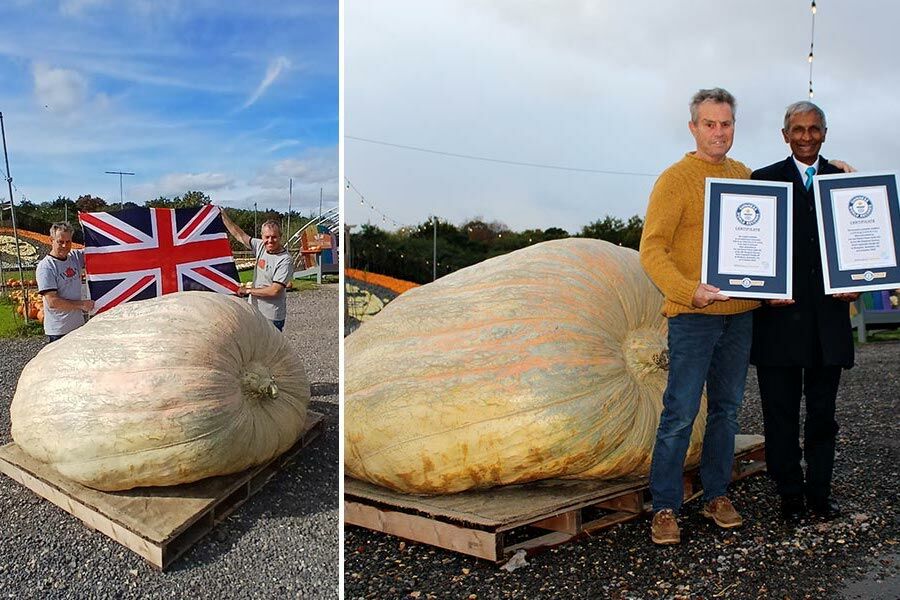 1279 kg. The heaviest pumpkin in the world has a lot of science