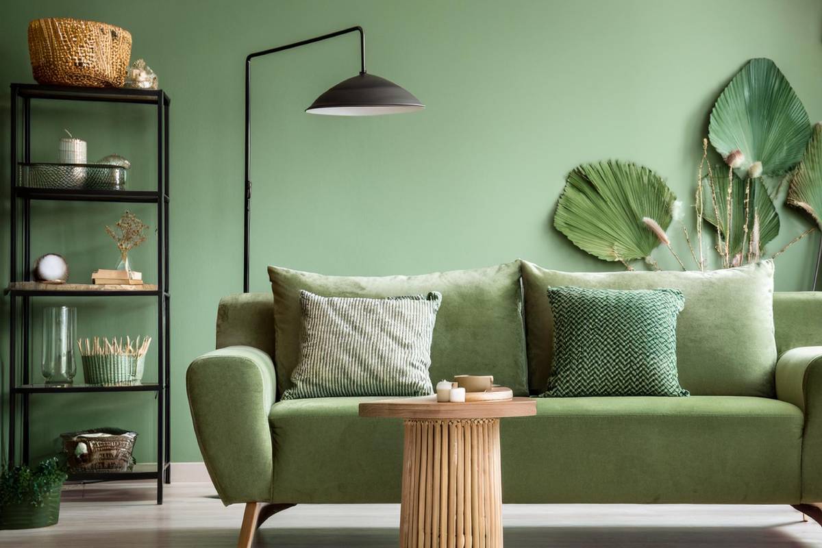 Green sofa on sage wall