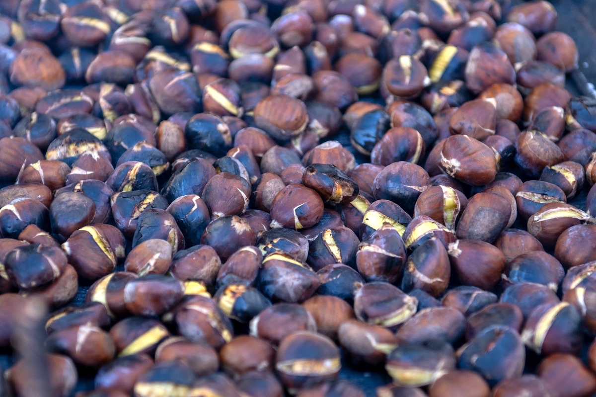 São Martinho Walking Tour takes nature and tradition to Serra do Caldeirão