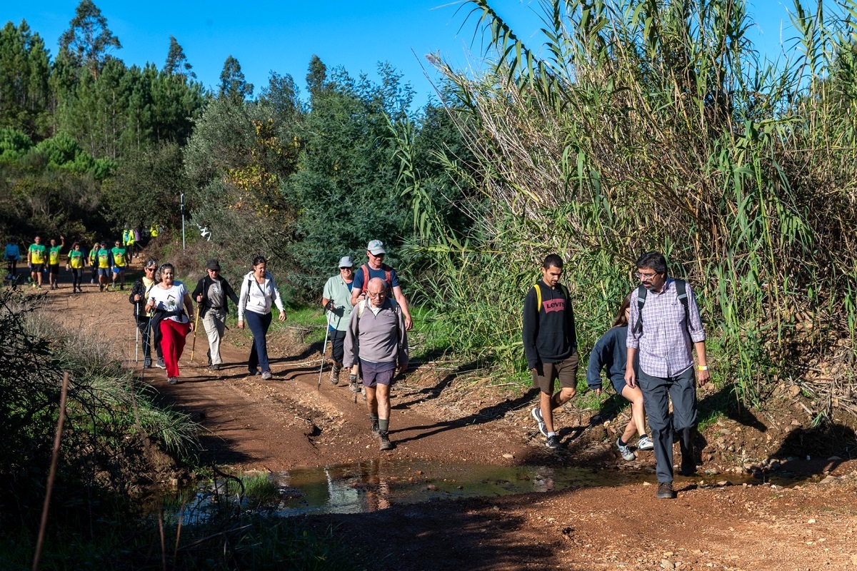 São Martinho Walking Tour takes nature and tradition to Serra do Caldeirão