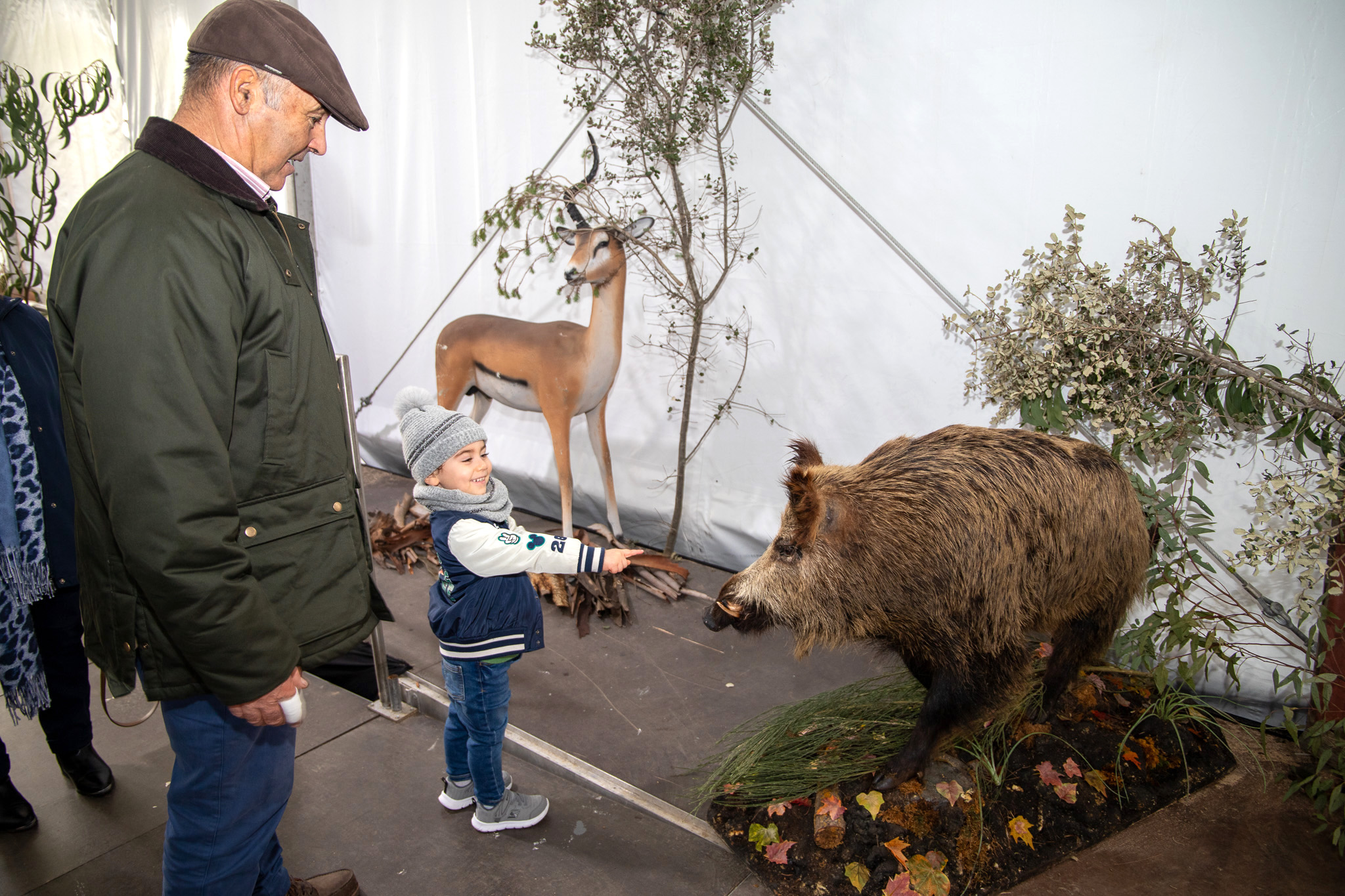 Partridge Fair returns to Martim Longo with gastronomy, hunting and rural tradition