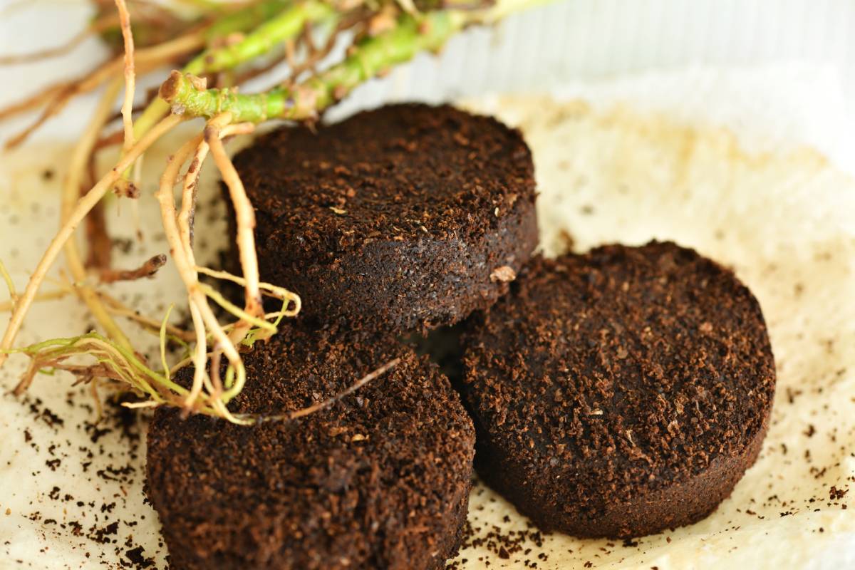 Coffee grounds