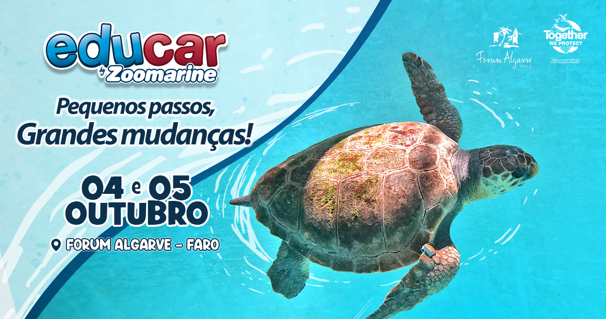 Children and adults invited to explore marine life at Forum Algarve with “Educar”