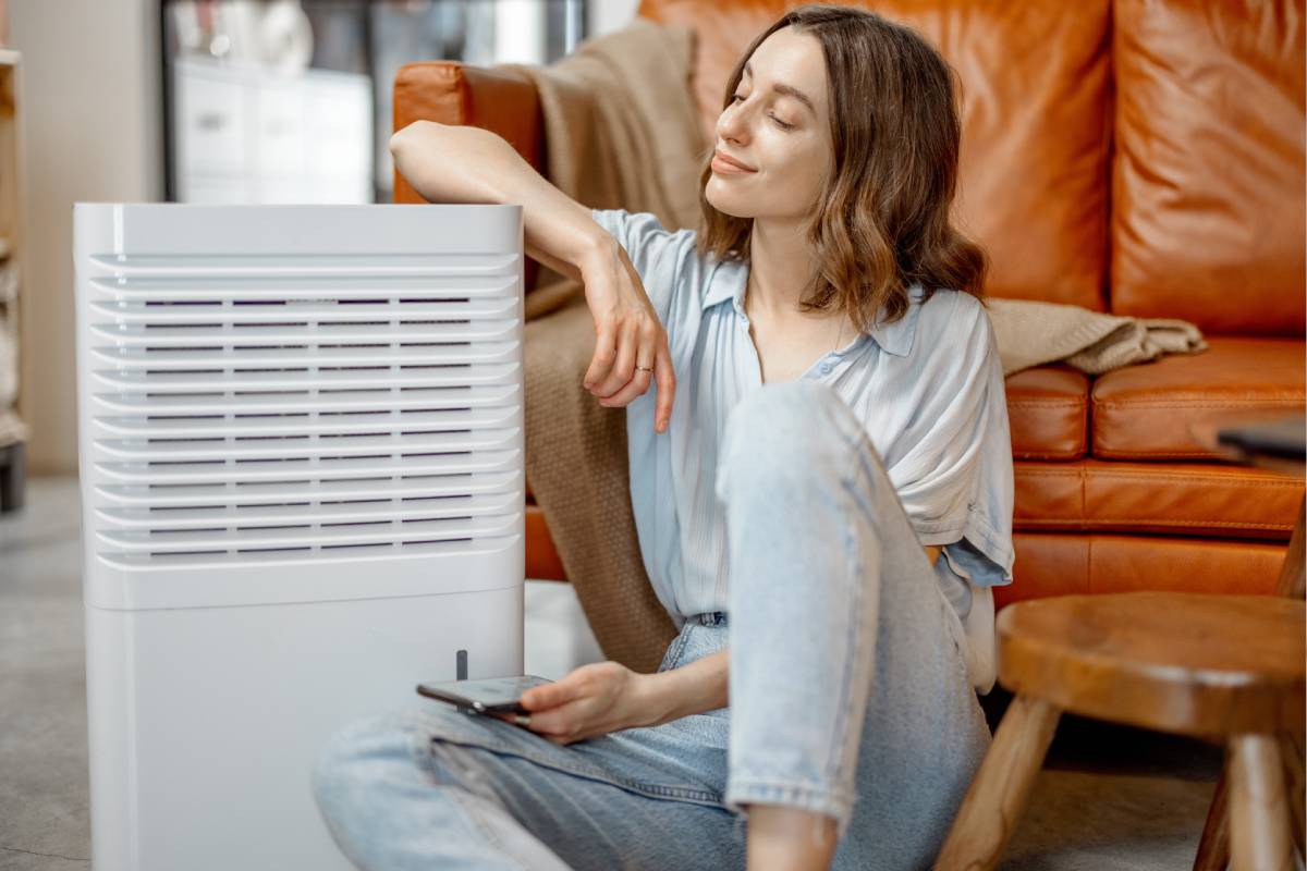 Dehumidifier in the living room