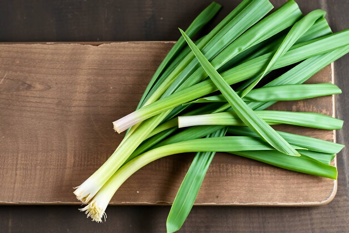 Wild leek