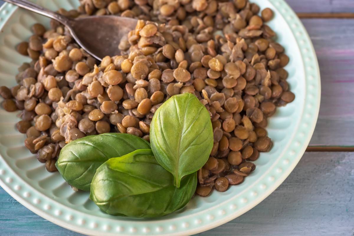 Autumn basil in lentil soup