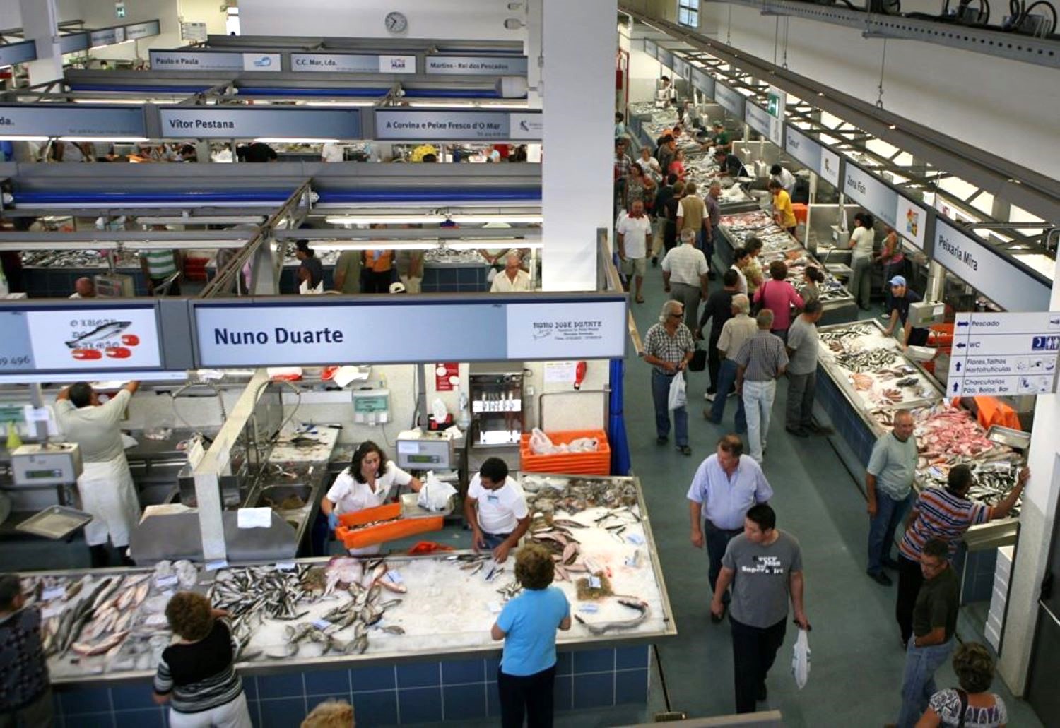 Portimão opens public auction for four commercial spaces in the Municipal Market