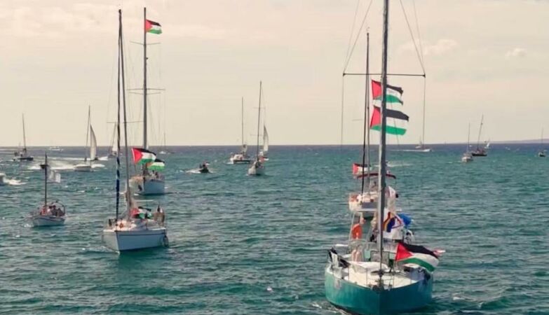 Israel stopped (other) flotilla. It took almost 100 thousand euros in hospitals products