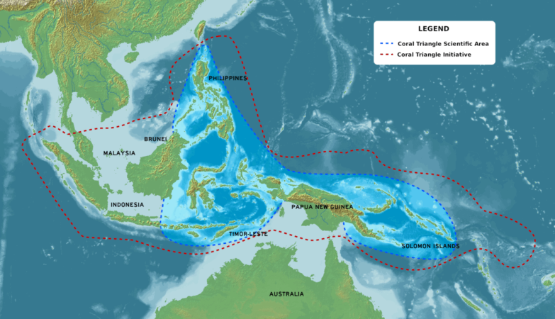 There is an “Amazon” hidden between the Pacific and the Indian Ocean that resists climate change