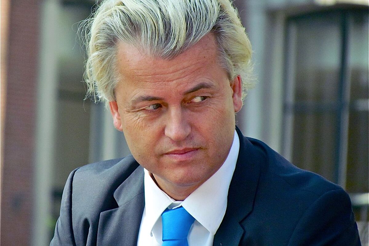 Progressives ahead of the extreme right in the elections in the Netherlands