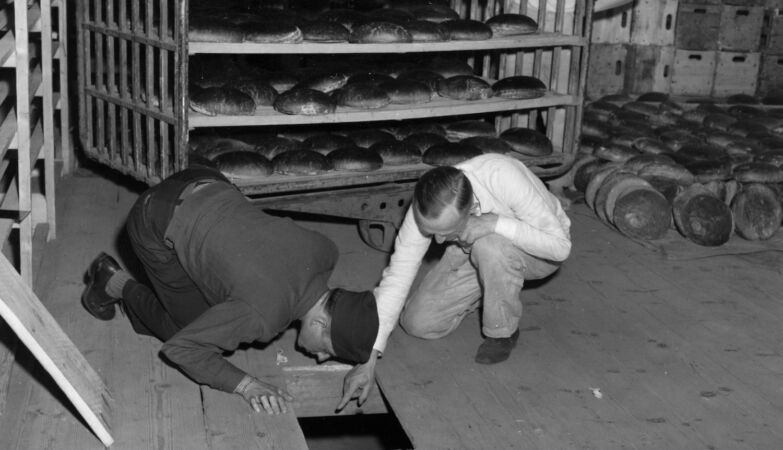 The “Avengers” really existed: they were Jews who killed Nazis (and walked around Palestine)