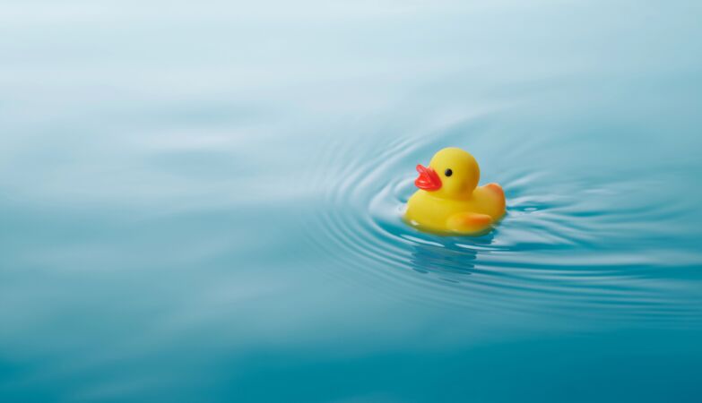 Are you stuck in a problem? Talk to a rubber duck