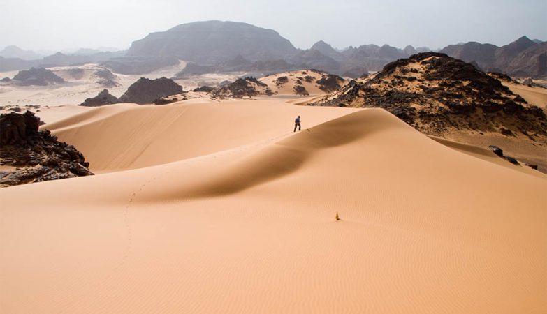 Rain in the Sahara? The largest desert in the world could be green again