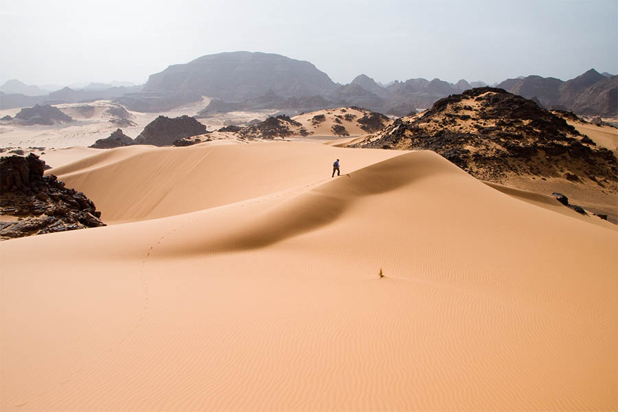 Rain in the Sahara? The largest desert in the world could be green again