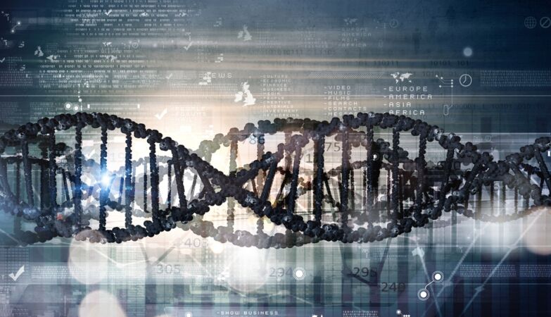 What if life is just another kind of computer?