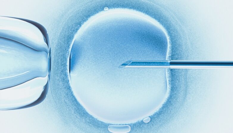 Scientists first turn skin cells into fertilized eggs