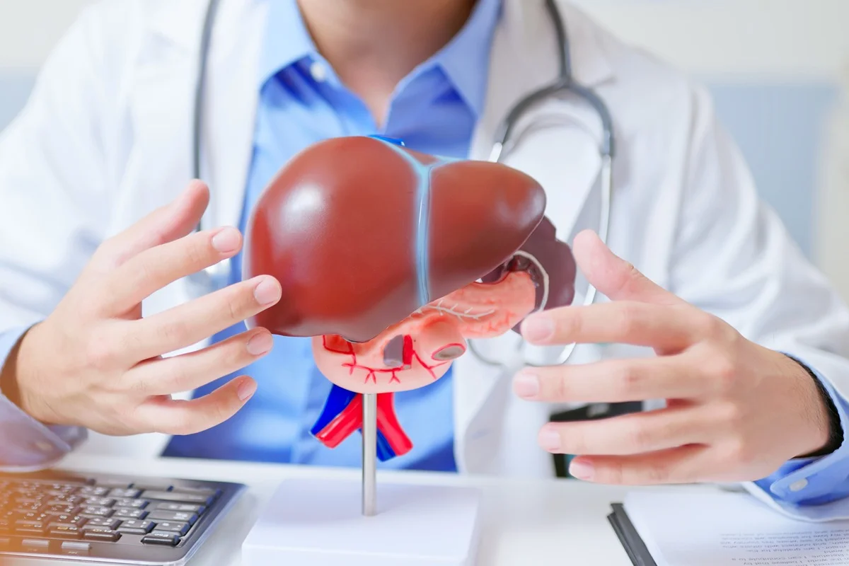 See why fatty liver has become a growing problem in South America